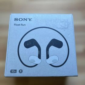 SONY WI-OE610