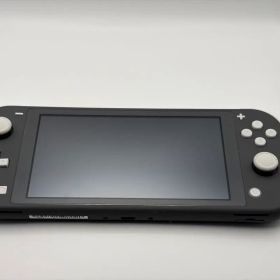 Nintendo Switch Lite グレー (512GB SDカード付)