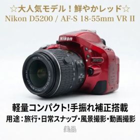 ✨大人気カラー✨ Nikon D5200 レンズキット⁠ 5902ショット