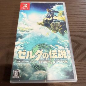 ゼルダの伝説 ティアーズ オブ ザ キングダム