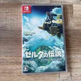 ゼルダの伝説 ティアーズ オブ ザ キングダム Switch
