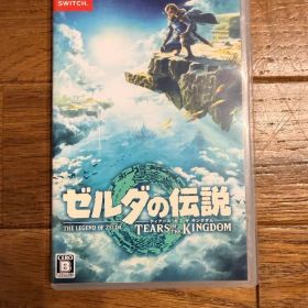 ゼルダの伝説 ティアーズ オブ ザ キングダム Nintendo Switch