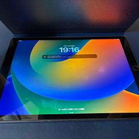 iPad Pro 12.9 第1世代 Wi-Fi＋Cellular 128㎇