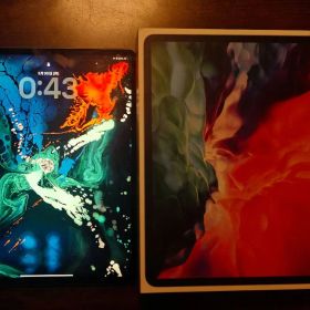 iPad Pro 12.9インチ 第4世代 付属品完備 動作良好 即発送