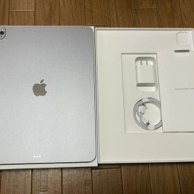 【美品】iPad Pro 12.9インチ 第5世代 256GB 外装現行仕様