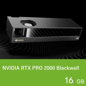 NVIDIA グラフィックボード NVIDIA RTX PRO 2000 Blackwell (LP) PCIe 5.0 x8 MiniDisplayPort 2.1b x4 メモリ:GDDR7/16GB 最大消費電力:70W【代引き不可】 4537694368568