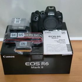 Canon EOS R6 Mark II ボディ（美品）