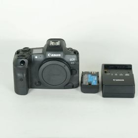 [良品 | シャッター数6,290回] Canon EOS R5 | Canon RFマウント