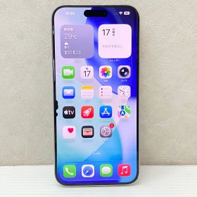 Apple iPhone 15 Pro Max 256GB MU6Q3J/A SIMロックなし ※画面ダメージあり 中古品 smip098743