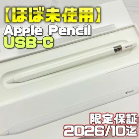 保証有【ほぼ未使用】Apple Pencil USB-C 408