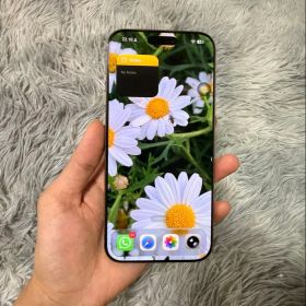 iPhone 16 Pro Max 256GB Like New