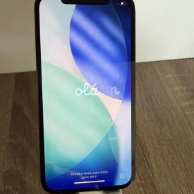 iPhone12pro 本体 パシフィックブルー256GB 超美品