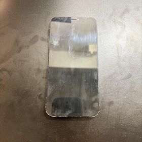 Apple iPhone 12 本体