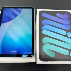 iPad mini 第7世代（A17 Pro） スペースグレー Wi-Fiモデル 128GB A2993 MXN63J/A