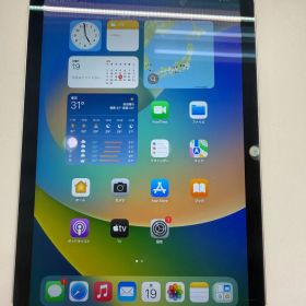 格安販売 iPad mini 第6世代 256GB セルラー 87% キズ多め