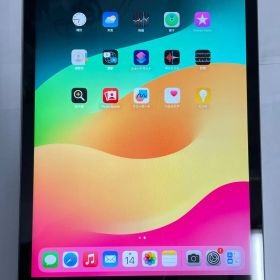 【訳あり品】iPad 8 10.2インチ Wi-Fi+Cellularモデル 32GB スペースグレイ【保証なし】