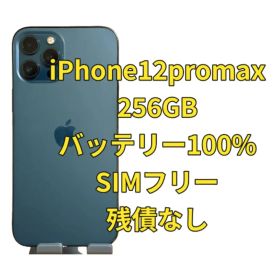iPhone 12Pro max 256GB 海外版 SIMフリー