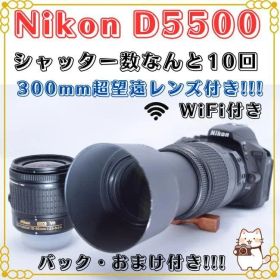 ニコン Nikon D5500 デジタル一眼レフカメラ シャッター数新品級