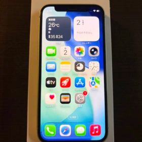 【限定値下】Apple iPhone 12 mini グリーン 本体