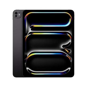 iPad Pro 13インチ M4[256GB] セルラー docomo スペースブラッ…