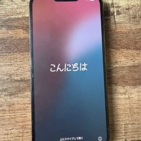 iPhone 13 ProMax 本体 256GB