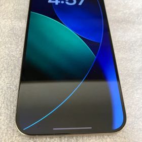 iPhone 15 Pro Max 256GB SIMフリー