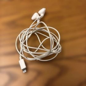 Apple Lightningコネクタ対応 EarPods