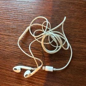 Apple EarPods with Lightning Connector