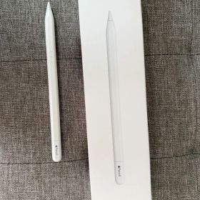 ジャンク品 Apple Pencil USB-C 純正 アップルペンシル
