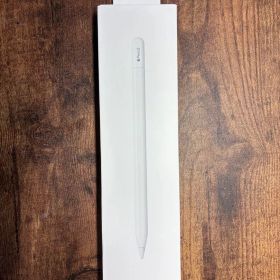 Apple Pencil USB-C 本体 新品未使用