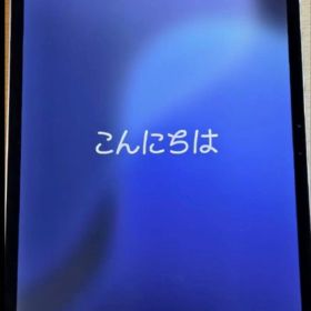 Apple iPad Pro 11インチ m4 256GB