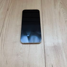 Apple iPhone 12 Pro 本体