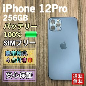 【美品】iPhone12Pro ブルー 256GB SIMフリー【新品液晶電池】