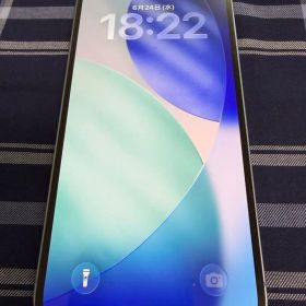価格交渉OK_iPhone14Plus青256GB SIMフリー【中古】