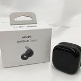 ワイヤレスイヤホン WF-L910 SONY