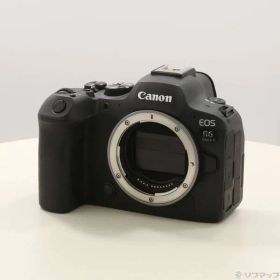 ソフマップ 〔中古品〕 EOS R6 Mark II ボディ【262】