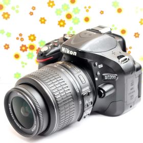 ニコン Nikon D5200☆スマホ転送可☆初心者おすすめ☆レンズセット