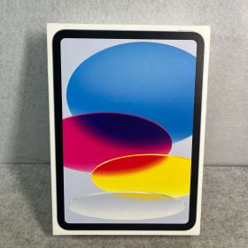 Apple 11インチiPad 128GB ブルーWi-Fi +Cellular