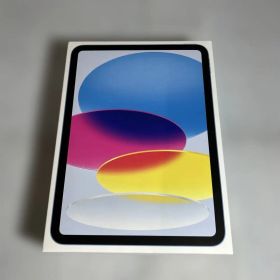 Apple 11インチiPad 128GB ブルーWi-Fi +Cellular