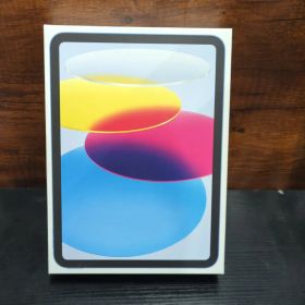 Apple 11 インチ iPad (A16): 11 インチモデル