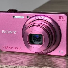 SONY Cyber-shot DSC-WX200 ピンク 18.2MP 057