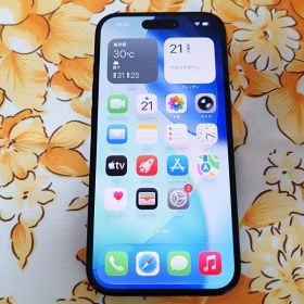 【美品】iPhone 15 128GB ブラック SIMフリー imei9282