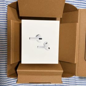 Apple AirPods Pro 3 本体