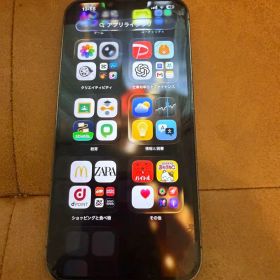 大幅値下プロマックス１テラiPhone 13 Promax 1.02TB最終赤字