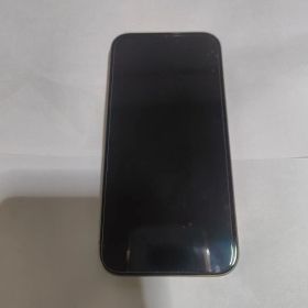Apple iPhone 15 Pro 本体 256GB 極美品