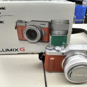 ミラーレス一眼カメラ DC-GF10W PANASONIC