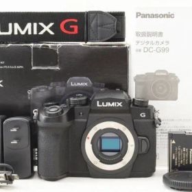 ☆極上美品☆ Panasonic パナソニック LUMIX DC-G99 ボディ 元箱 付属品 Shot数 13,650枚前後 ♯26081903