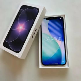 容量76％ シャッター音なし米国版 iPhone12Pro 256GB K232