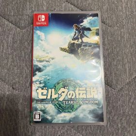 ゼルダの伝説 ティアーズ オブ ザ キングダム Switch