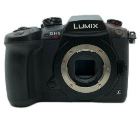 【期間限定セール】パナソニック Panasonic ミラーレス一眼 LUMIX DC-GH5S【中古】
